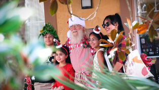 Enjoy beautiful holiday plantings, decorations and events during the Holidays at Bok Tower Gardens!