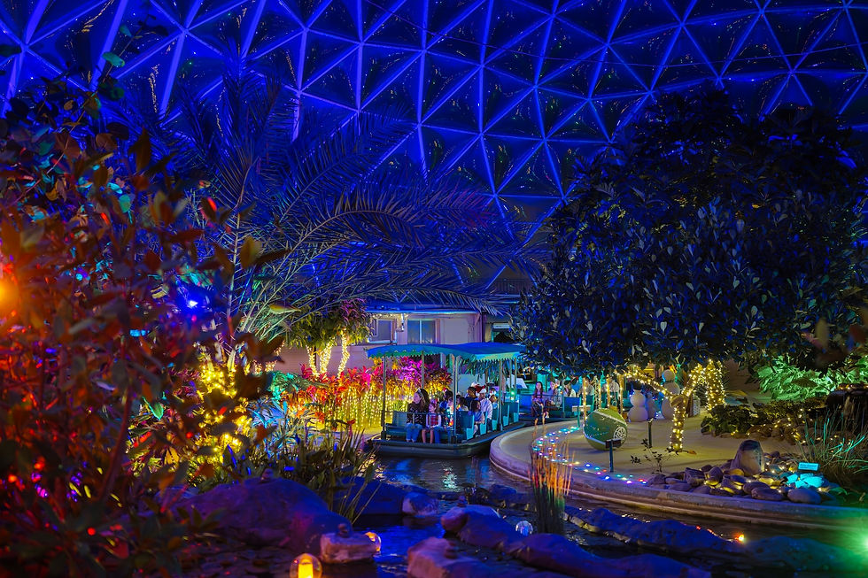 See How Nature Shines on Living with the Land – Glimmering Greenhouses