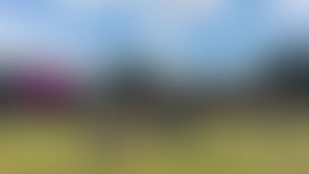 The City of Oviedo is hosting its Egg-Ceptional Family Festival this Saturday at Center Lake Park