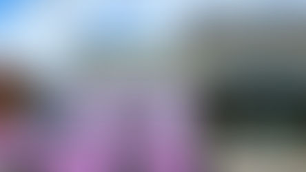 Sundae Fundae - Free ice cream for breakfast this weekend with Kelly's Homemade Ice Cream at UCF First Watch!