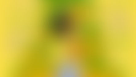 Tiana's Bayou Adventure Attraction Poster and even more Critters revealed for Walt Disney World!