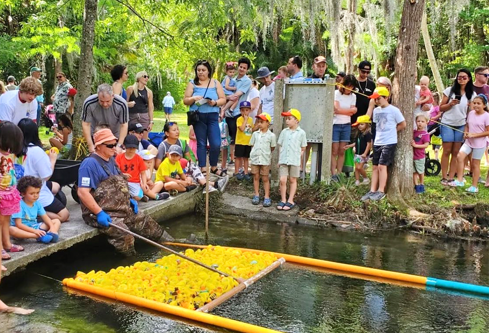 The Great Duck Derby at Mead Botanical Garden