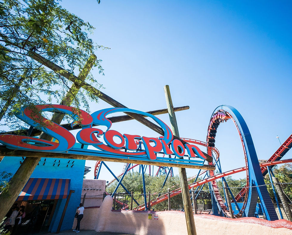 The Scorpion Roller Coaster is closing permanently at Busch Gardens Tampa Bay for future attraction