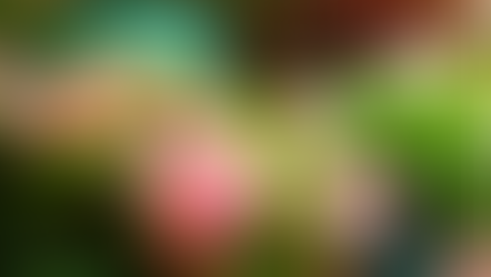 Enjoy $2 off admission when you wear floral prints to Leu Gardens Floral Day!