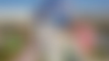 TripAdvisor’s 2025 Travelers’ Choice Awards ranks Kennedy Space Center Visitor Complex the No. 1 U.S. Attraction