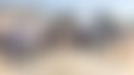 Crooked Can Brewing Company breaks ground on new Destination Brewery and Headquarters in Minneola