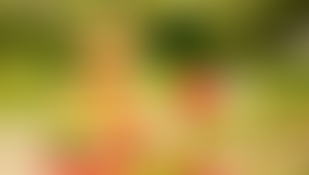 Enjoy Free Admission Day and Story Time for the Little Ones at Orlando's Leu Gardens