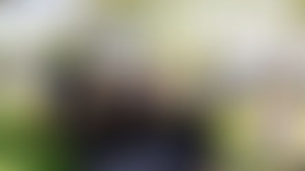 The City of Maitland is hosting a Touch-A-Truck Event this weekend with lots of really big trucks! 