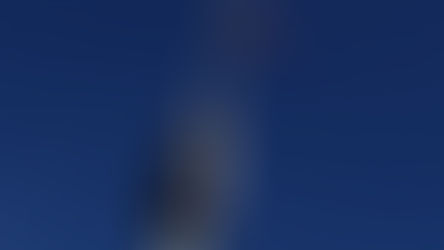 SeaWorld Orlando’s Sky Tower Is Back After 2 Years!