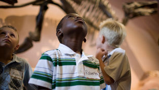 Join Fossil Fest at Bok Tower Gardens for a prehistoric day of discovery and family fun!
