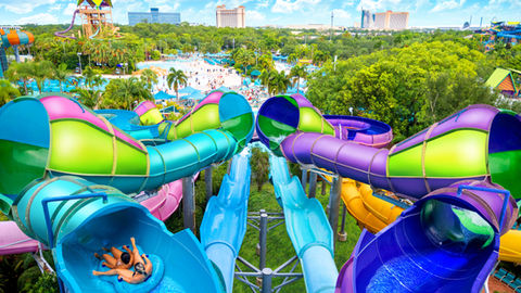 Splash into Aquatica Orlando with Five Reasons to visit the Top Outdoor Water Park in America