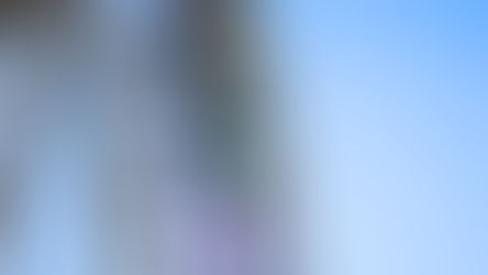 Iron Gwazi Breaks The Ice Breaker: Busch Gardens Tampa Overtakes SeaWorld Orlando!