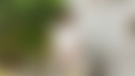 Orlando Museum of Art features a captivating lineup for the 2026 Florida Prize in Contemporary Art