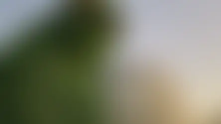 Walt Disney World Welcomes Te Fiti to EPCOT with another Sneak Peek at New Attraction