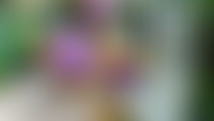 Celebrate Easter Sunday With A Plentiful Easter Buffet at Villa de Flora