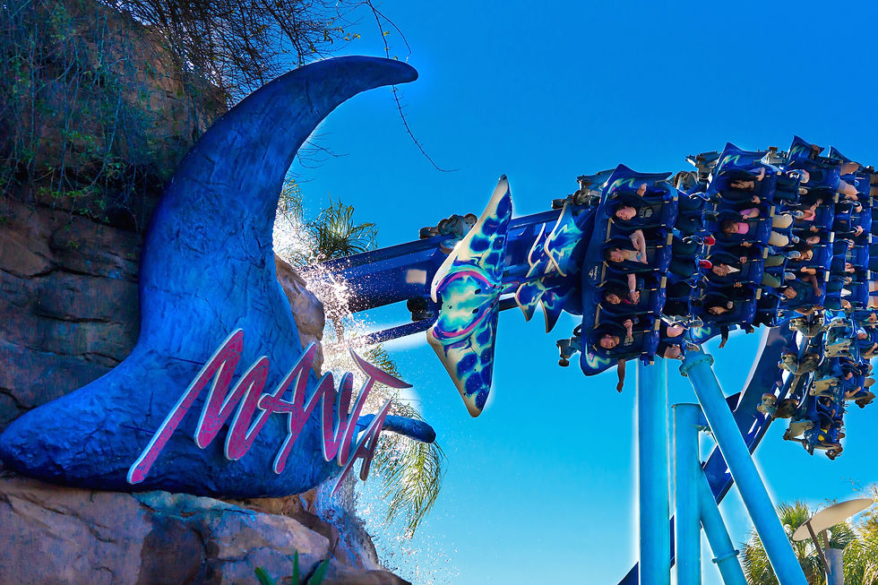 SeaWorld Orlando Unwrap Their 2022 Black Friday Sale