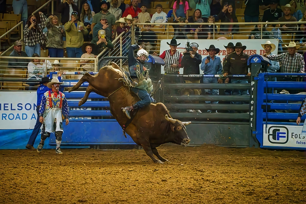 Silver Spurs Rodeo
