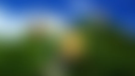 Kurtis Conner announces his biggest project yet - The Goodfellow World Tour and it's coming to Tampa and Orlando!