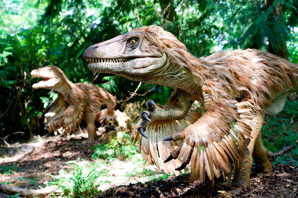 Prehistoric Predators have arrived at ZooTampa at Lowry Park!
