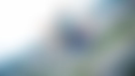 2024-25 Orange County Tourist Tax Collections soar to the highest annual amount ever!