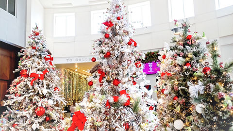 Festival of Trees “A Season of Celebration” returns to Orlando Museum of Art Nov. 15 - 23