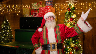 SeaWorld Orlando’s Christmas Celebration returns with Sparkling Holiday Fun for Everyone!