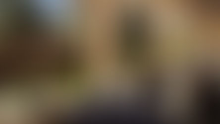 Treat your Valentine to a memorable Valentine's Day Dinner at Mission Resort + Club