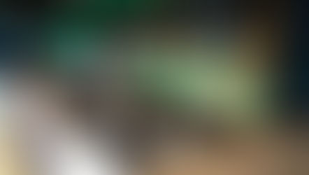 Alien Treats lands in Orlando bringing out-of-this-world milkshakes and freeze-dried candy!