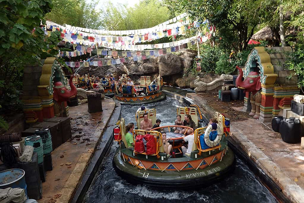 Kali River Rapids at Animal Kingdom