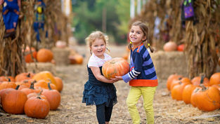 Fall Into The Best Fall Festivals & Events Happening In Orlando For 2022