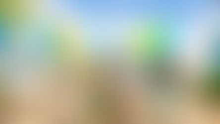 Summer Is Here! Dive into Adventure Island, with all-new Castaway Falls, New Wave Pool & Fan-Favorite Island Nights