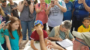 Enjoy free fun for the whole family at this weekend's Orlando Wetlands Festival