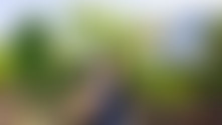 For the first time, Auli’i Cravalho, the voice of Moana visits Journey of Water, Inspired by Moana in EPCOT