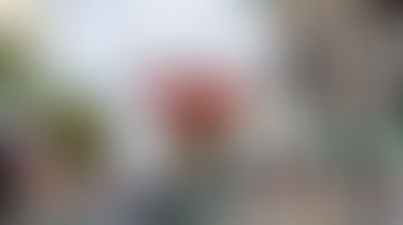 Franco's Flop Fest "Earth's Premier Belly Flop Contest" flops its way back to Tactical Brewing Co.