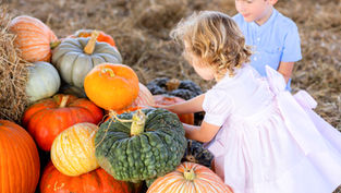 Free & Cheap Things To Do in Orlando this Weekend, October 2 - 4, 2026