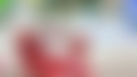 The Top 10 Things to Do in Orlando this Week, July 14 - 20, 2025