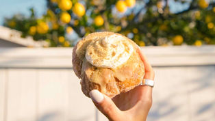 Craft doughnut and coffee shop Parlor Doughnuts opening in College Park