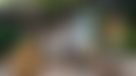 Check out the new and unique Disney PhotoPass Ops for Tiana’s Bayou Adventure at Magic Kingdom