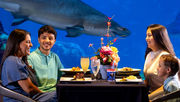 SeaWorld Orlando invites guests to experience an unforgettable Mother’s Day at Sharks Underwater Grill