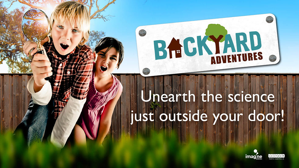 New exhibit, Backyard Adventures coming to Orlando Science Center