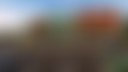 Calling All Artists: Orange County is seeking art for new Orange County Animal Services Building