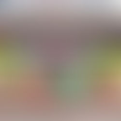 Walt Disney World's Magic Kingdom Magically Transforms From Halloween Into Christmas Overnight