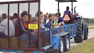 The Orlando Wetlands Festival is back in February at the Orlando Wetlands Park