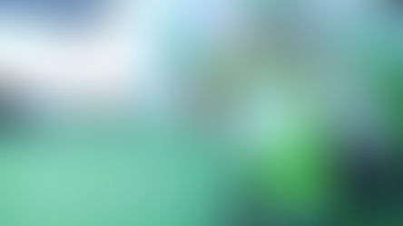 The Orlando Magic announce multiyear collaboration with Publix, making them Official Supermarket of the Magic