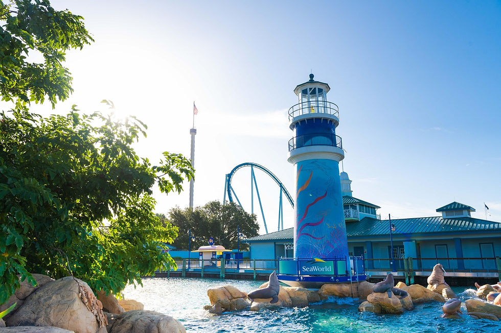 SeaWorld Orlando Unwrap Their 2022 Black Friday Sale