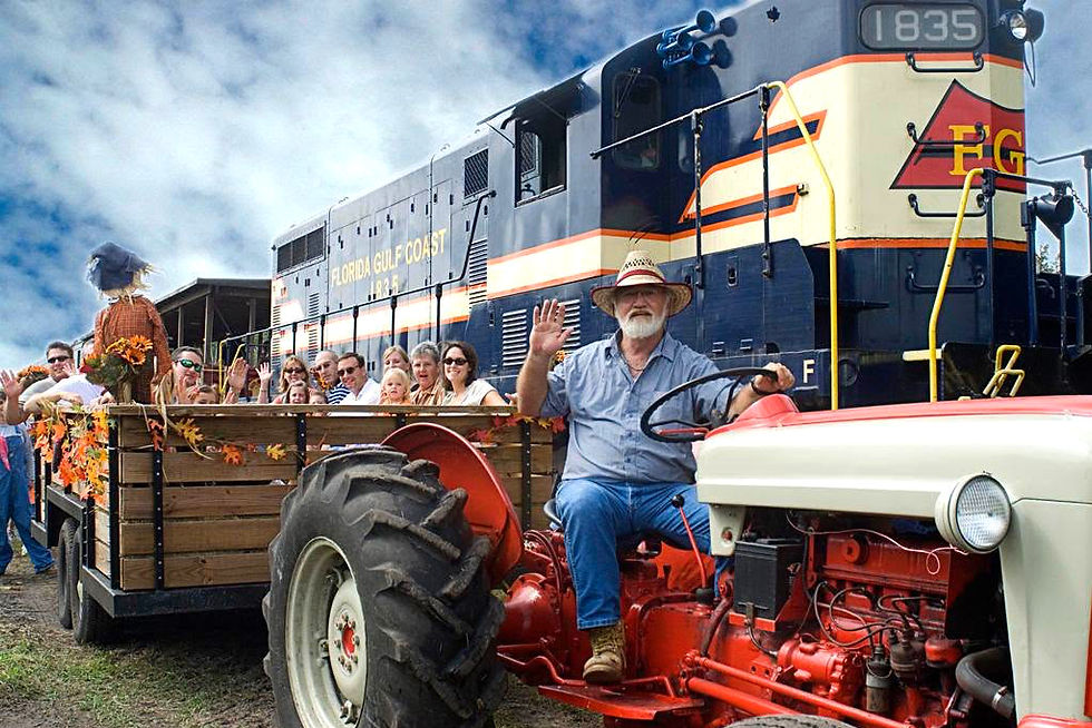 Florida Railroad Museum's Pumpkin Patch Express