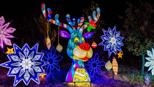 Santa to make a special stop at Central Florida Zoo's Asian Lantern Festival: Into the Wild