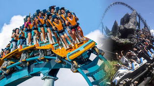 Black Friday 2023 Deals at Central Florida Theme Parks and Attractions!