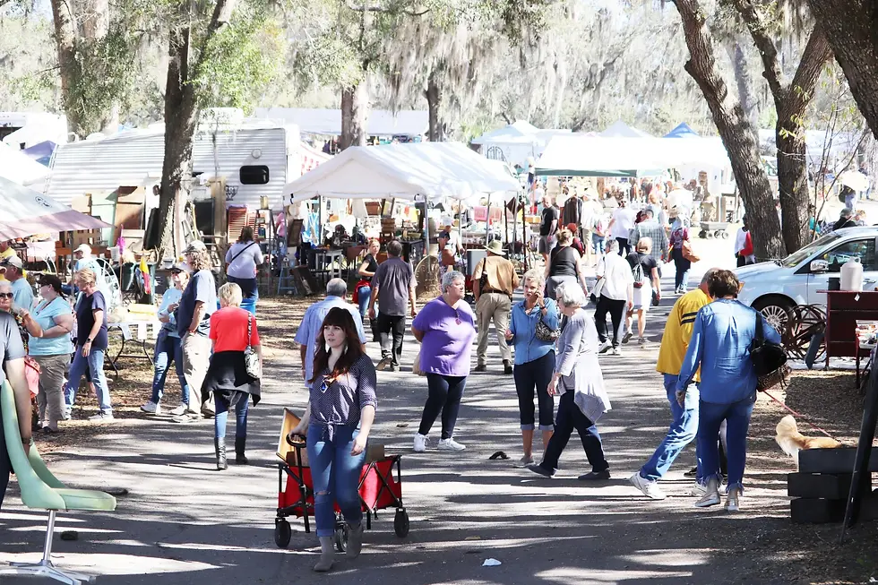 Antiques & Collectors Extravaganza in Mount Dora