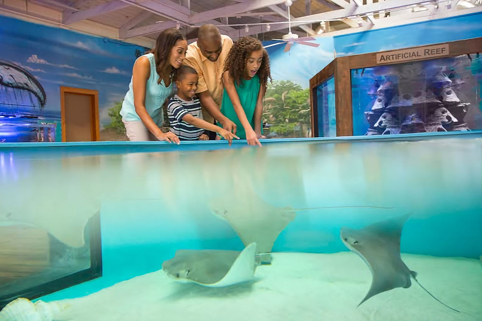 Daytona Aquarium & Rainforest Adventure